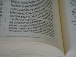 A picture of a book page