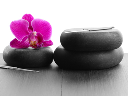 Lotus flower and acupuncture needs on rocks