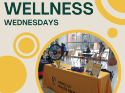 Wellness Wednesdays Commons mainstreet 12-1pm