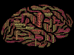 Human words (for example, feeling, thought, memory) in different colors arranged in the shape of a human brain.
